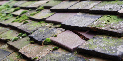 Hatley roof repair costs